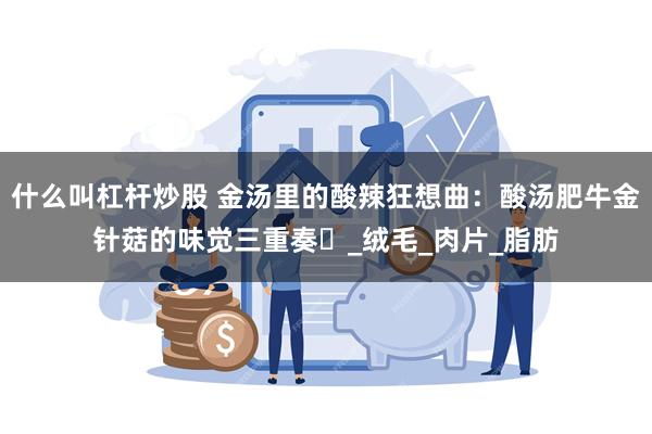 什么叫杠杆炒股 金汤里的酸辣狂想曲：酸汤肥牛金针菇的味觉三重奏​_绒毛_肉片_脂肪