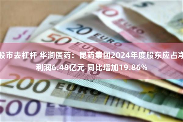 股市去杠杆 华润医药：昆药集团2024年度股东应占净利润6.48亿元 同比增加19.86%