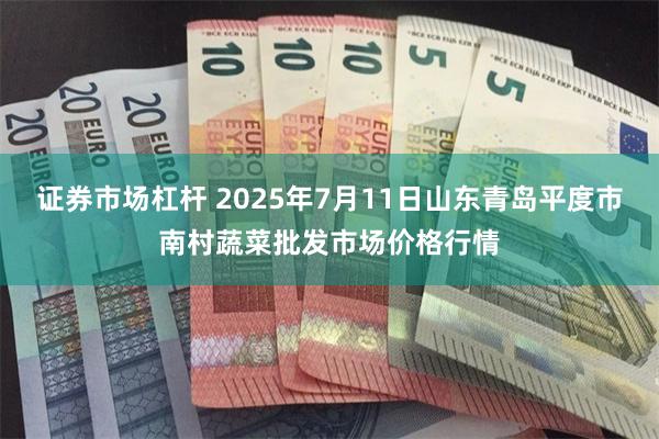证券市场杠杆 2025年7月11日山东青岛平度市南村蔬菜批发市场价格行情