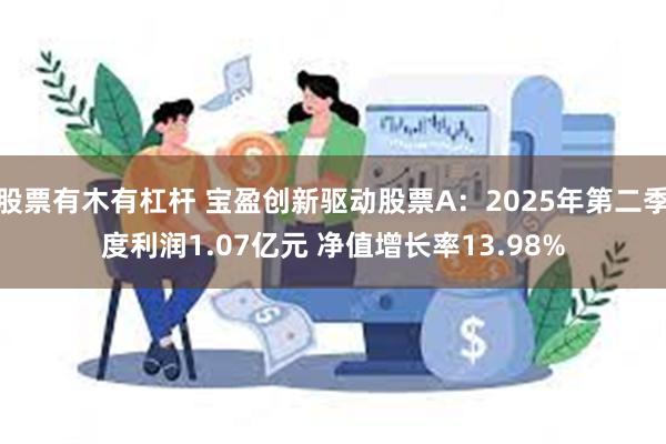 股票有木有杠杆 宝盈创新驱动股票A：2025年第二季度利润1.07亿元 净值增长率13.98%