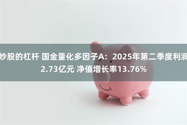 炒股的杠杆 国金量化多因子A：2025年第二季度利润2.73亿元 净值增长率13.76%