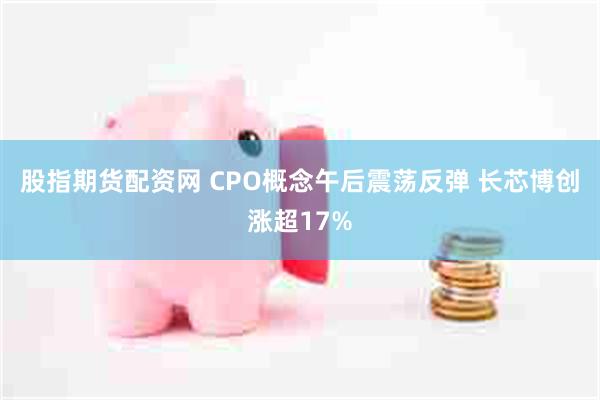股指期货配资网 CPO概念午后震荡反弹 长芯博创涨超17%