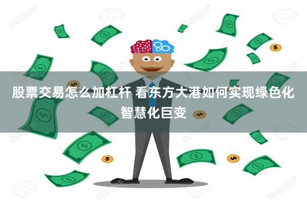 股票交易怎么加杠杆 看东方大港如何实现绿色化智慧化巨变