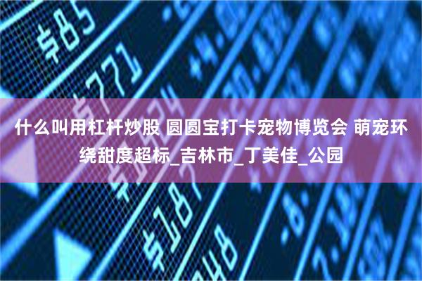 什么叫用杠杆炒股 圆圆宝打卡宠物博览会 萌宠环绕甜度超标_吉林市_丁美佳_公园