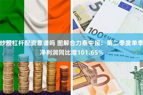 炒股杠杆配资靠谱吗 图解合力泰中报：第二季度单季净利润同比增101.65%
