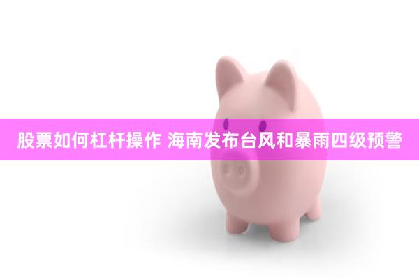 股票如何杠杆操作 海南发布台风和暴雨四级预警