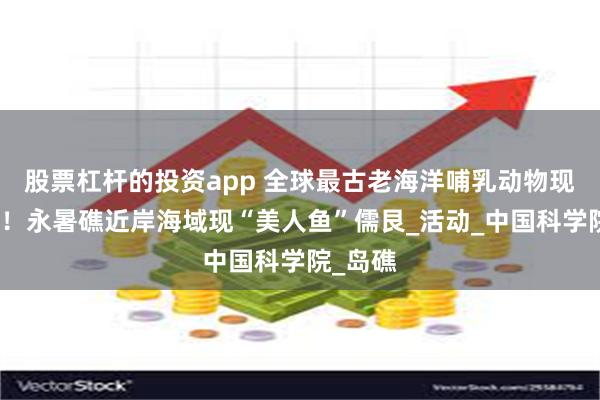 股票杠杆的投资app 全球最古老海洋哺乳动物现身南海！永暑礁近岸海域现“美人鱼”儒艮_活动_中国科学院_岛礁