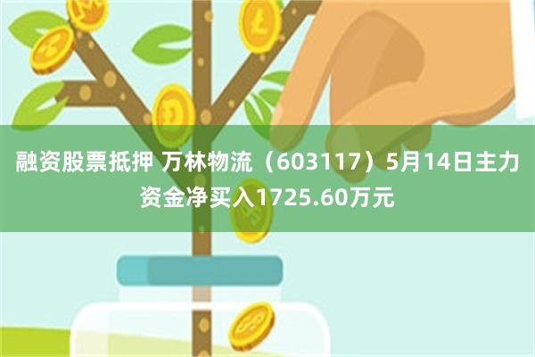 融资股票抵押 万林物流（603117）5月14日主力资金净买入1725.60万元