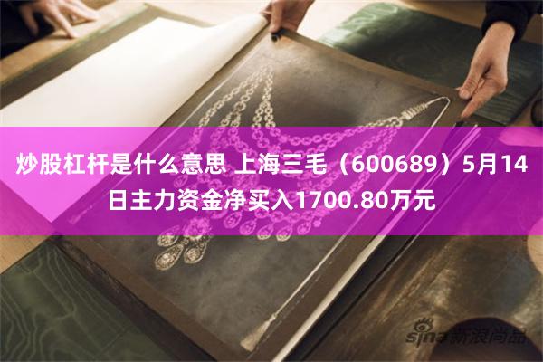 炒股杠杆是什么意思 上海三毛（600689）5月14日主力资金净买入1700.80万元