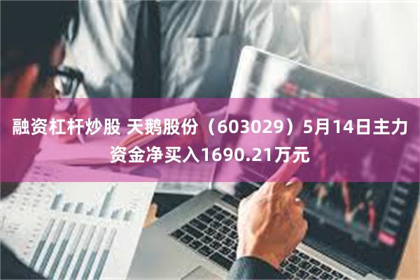 融资杠杆炒股 天鹅股份（603029）5月14日主力资金净买入1690.21万元