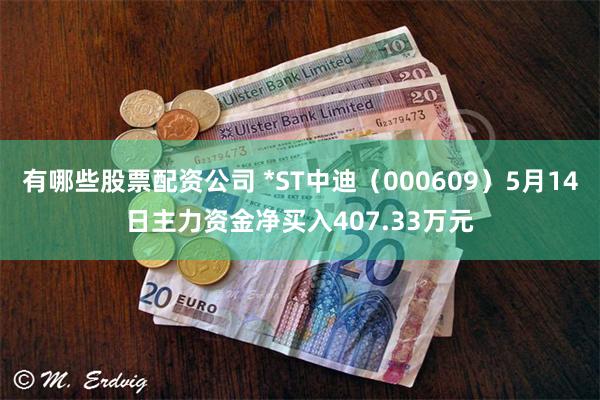 有哪些股票配资公司 *ST中迪（000609）5月14日主力资金净买入407.33万元