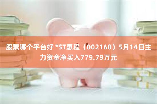 股票哪个平台好 *ST惠程（002168）5月14日主力资金净买入779.79万元