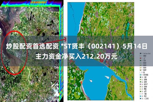 炒股配资首选配资 *ST贤丰（002141）5月14日主力资金净买入212.20万元