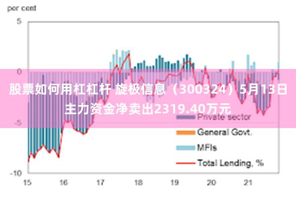 股票如何用杠杠杆 旋极信息（300324）5月13日主力资金净卖出2319.40万元