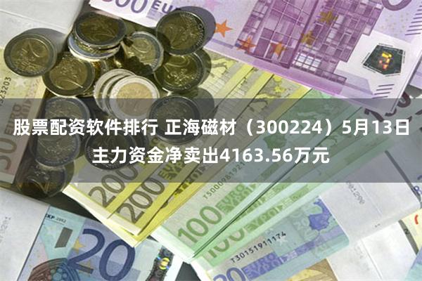 股票配资软件排行 正海磁材（300224）5月13日主力资金净卖出4163.56万元