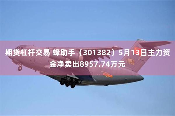 期货杠杆交易 蜂助手（301382）5月13日主力资金净卖出8957.74万元