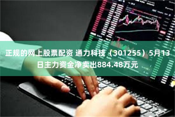 正规的网上股票配资 通力科技（301255）5月13日主力资金净卖出884.48万元