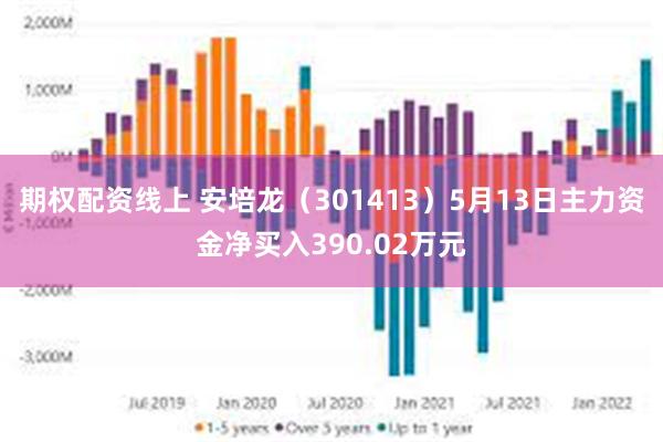 期权配资线上 安培龙（301413）5月13日主力资金净买入390.02万元
