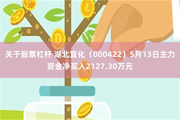 关于股票杠杆 湖北宜化（000422）5月13日主力资金净买入2127.30万元