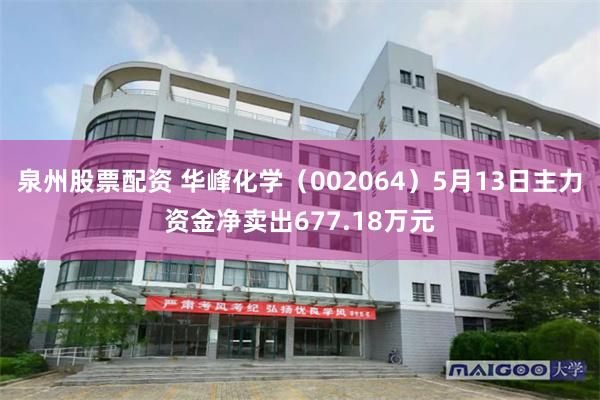泉州股票配资 华峰化学（002064）5月13日主力资金净卖出677.18万元