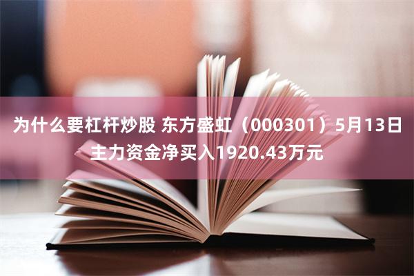 为什么要杠杆炒股 东方盛虹（000301）5月13日主力资金净买入1920.43万元