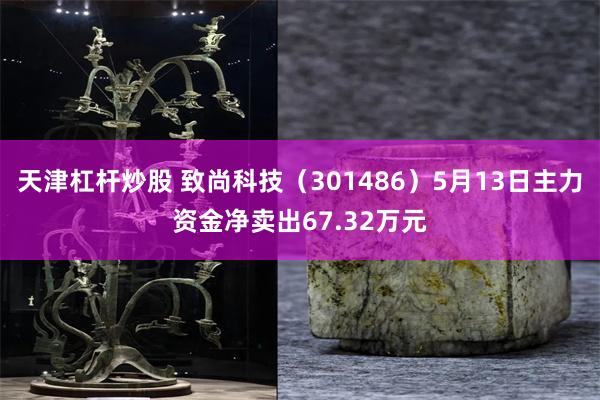 天津杠杆炒股 致尚科技（301486）5月13日主力资金净卖出67.32万元