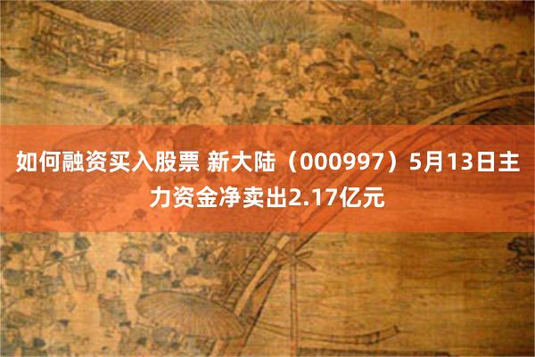 如何融资买入股票 新大陆（000997）5月13日主力资金净卖出2.17亿元