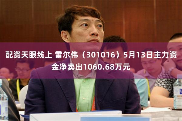 配资天眼线上 雷尔伟（301016）5月13日主力资金净卖出1060.68万元