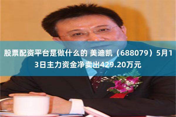 股票配资平台是做什么的 美迪凯（688079）5月13日主力资金净卖出429.20万元