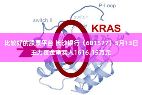 比较好的股票平台 长沙银行（601577）5月13日主力资金净买入1616.15万元