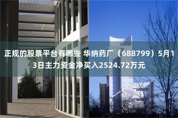 正规的股票平台有哪些 华纳药厂（688799）5月13日主力资金净买入2524.72万元