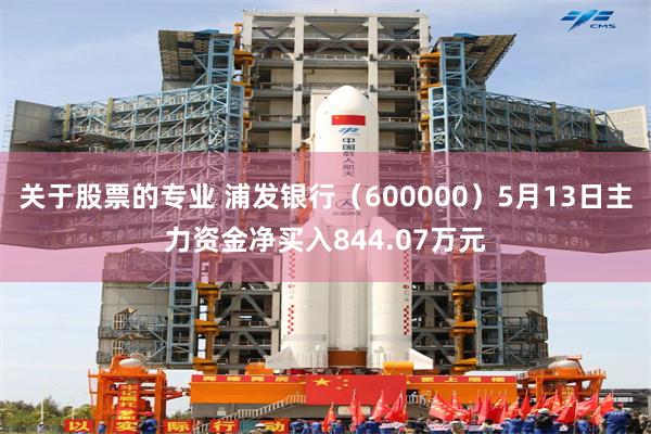 关于股票的专业 浦发银行(600000)5月13日主力资金净买入844.07万元