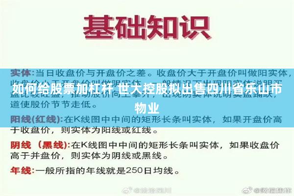 如何给股票加杠杆 世大控股拟出售四川省乐山市物业
