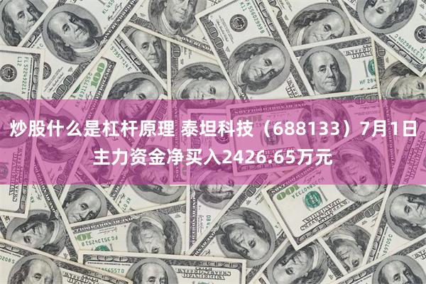 炒股什么是杠杆原理 泰坦科技（688133）7月1日主力资金净买入2426.65万元