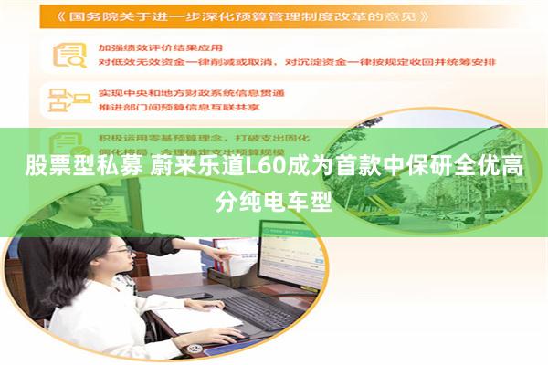 股票型私募 蔚来乐道L60成为首款中保研全优高分纯电车型