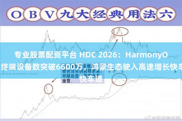 专业股票配资平台 HDC 2026：HarmonyOS 6终端设备数突破6600万，鸿蒙生态驶入高速增长快车道