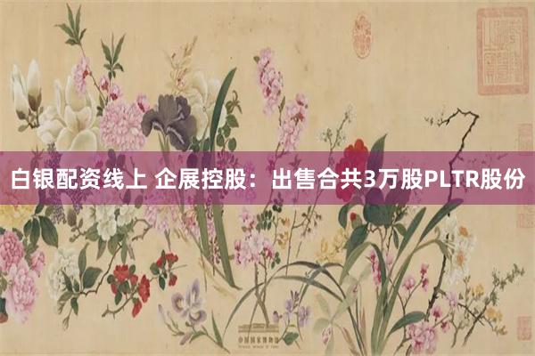 白银配资线上 企展控股：出售合共3万股PLTR股份