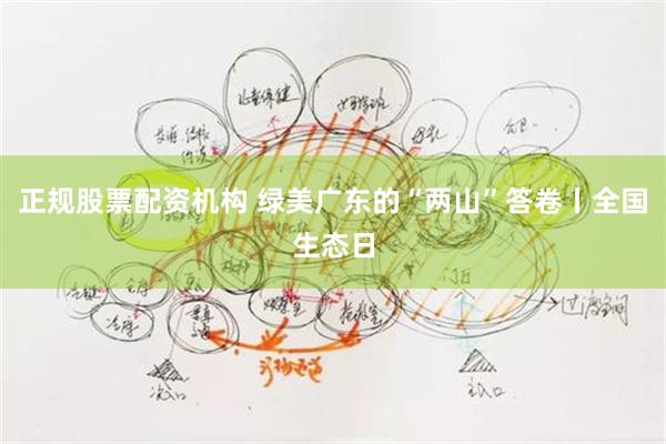 正规股票配资机构 绿美广东的“两山”答卷丨全国生态日