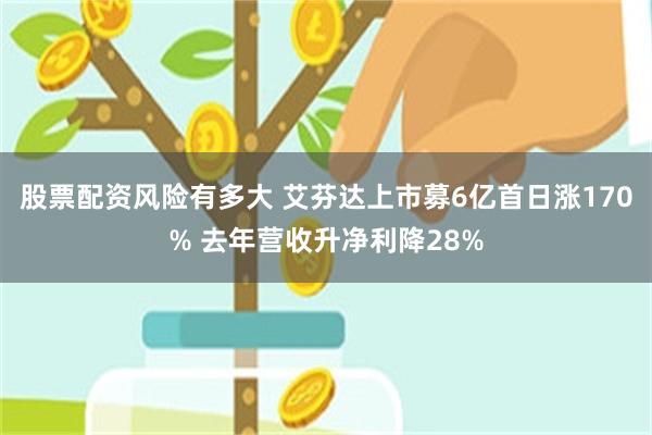 股票配资风险有多大 艾芬达上市募6亿首日涨170% 去年营收升净利降28%