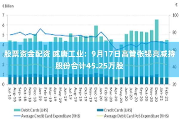 股票资金配资 威唐工业：9月17日高管张锡亮减持股份合计45.25万股