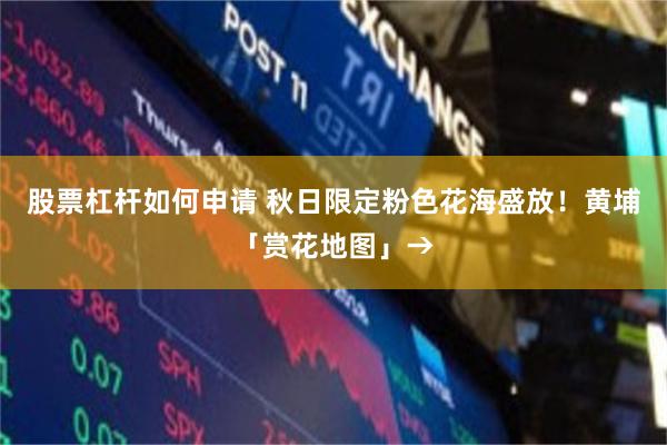 股票杠杆如何申请 秋日限定粉色花海盛放！黄埔「赏花地图」→