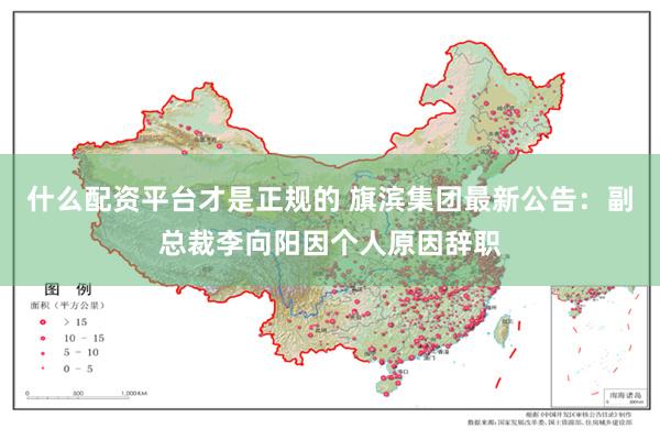 什么配资平台才是正规的 旗滨集团最新公告：副总裁李向阳因个人原因辞职