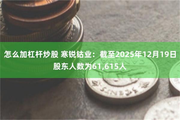 怎么加杠杆炒股 寒锐钴业:截至2025年12月19日股东人数为61,615人
