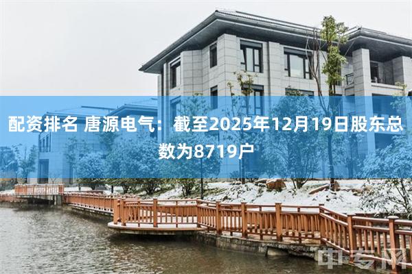 配资排名 唐源电气：截至2025年12月19日股东总数为8719户