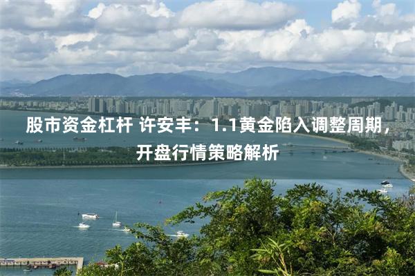 股市资金杠杆 许安丰：1.1黄金陷入调整周期，开盘行情策略解析