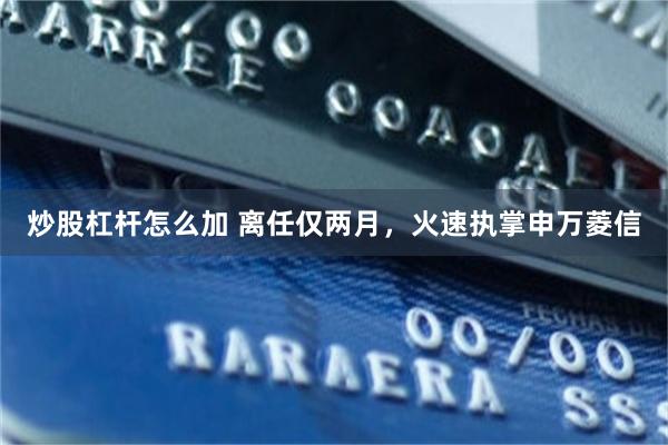 炒股杠杆怎么加 离任仅两月,火速执掌申万菱信