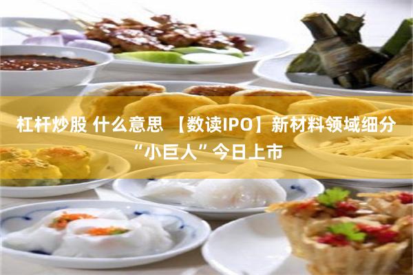 杠杆炒股 什么意思 【数读IPO】新材料领域细分“小巨人”今日上市