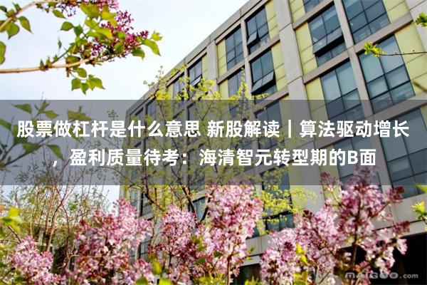 股票做杠杆是什么意思 新股解读|算法驱动增长,盈利质量待考:海清智元转型期的B面