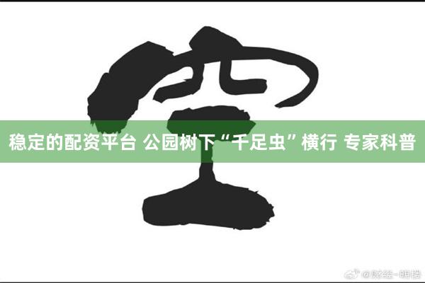 稳定的配资平台 公园树下“千足虫”横行 专家科普
