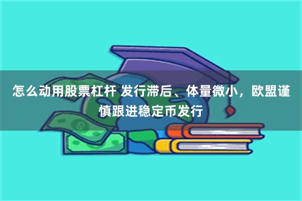 怎么动用股票杠杆 发行滞后、体量微小，欧盟谨慎跟进稳定币发行